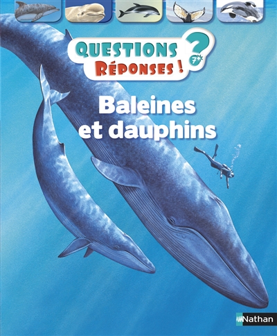 Baleines et dauphins - 