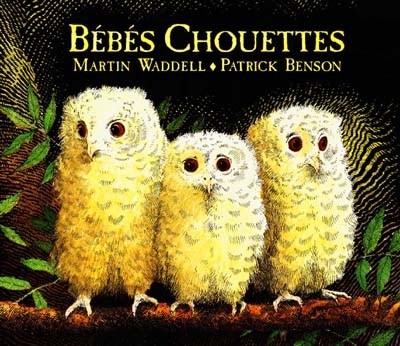 Bébés chouettes - 