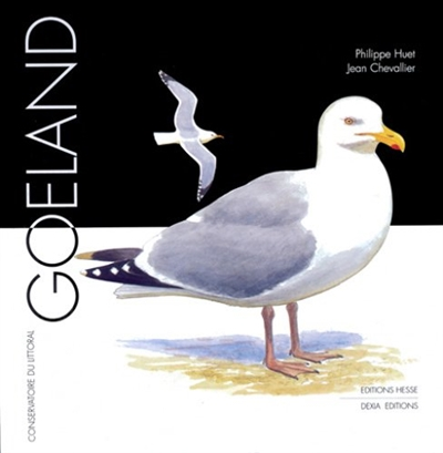 Goéland - 