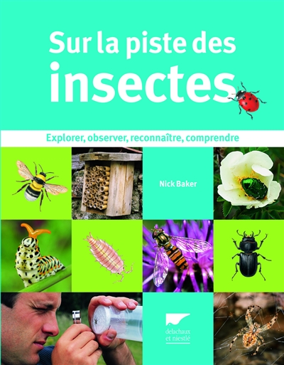 Sur la piste des insectes - 