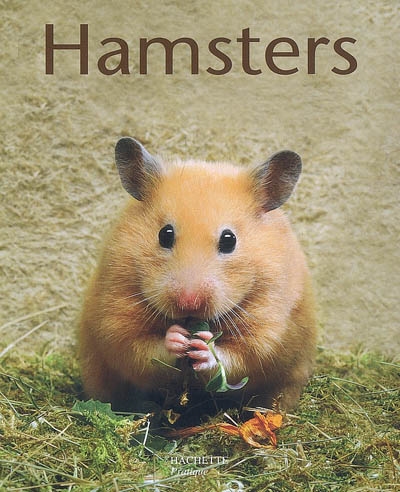 Hamsters - 