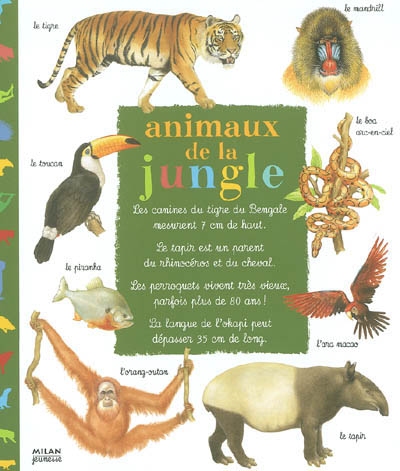 Animaux de la jungle - 