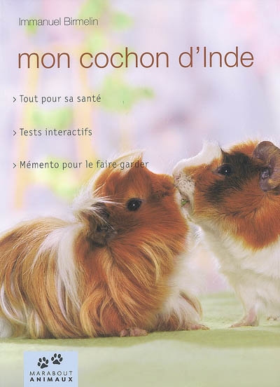 Mon cochon d'Inde - 