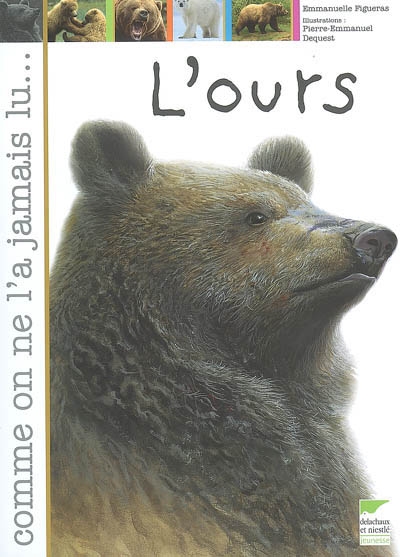 ours (L') - 