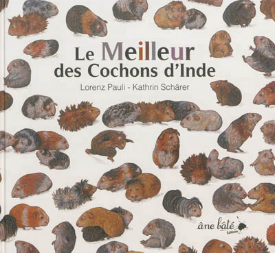 meilleur des cochons d'Inde (Le) - 