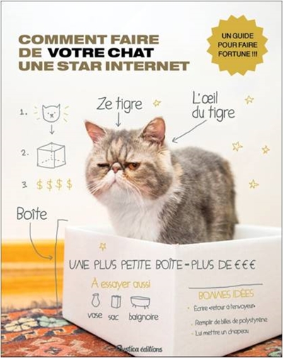 Comment faire de votre chat une star Internet - 