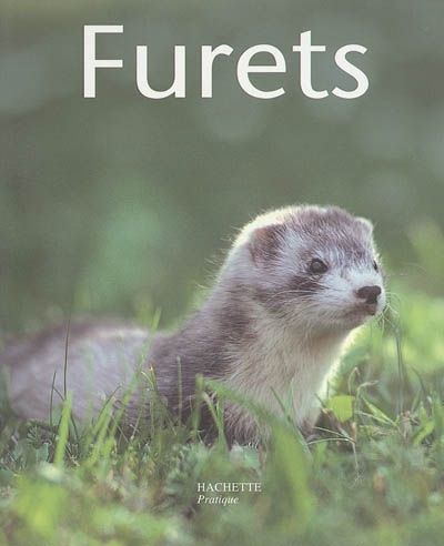 Furets - 