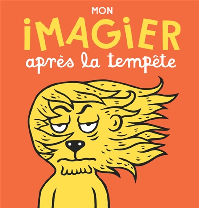 Mon imagier après la tempête - 