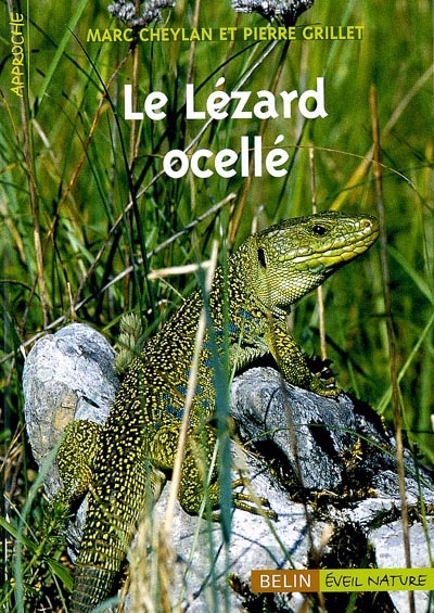 lézard ocellé (Le) - 