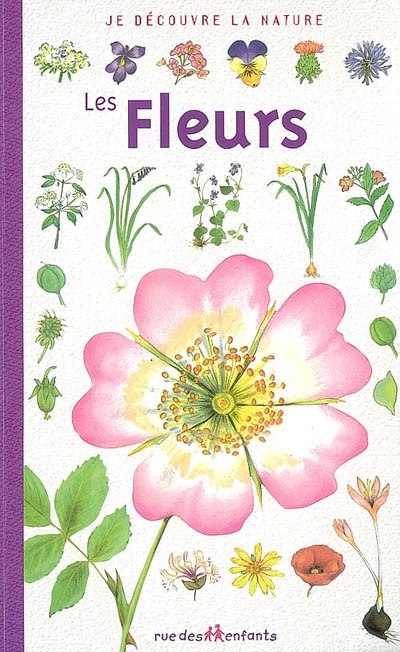 fleurs (Les ) - 