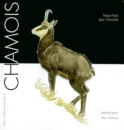 Chamois - 