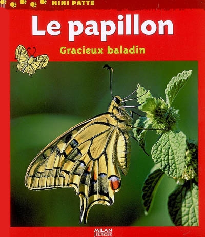 papillon, gracieux baladin (Le) - 