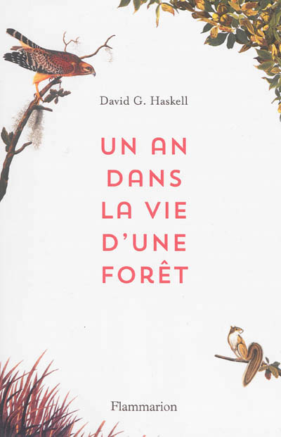 an dans la vie d'une forêt (Un) - 