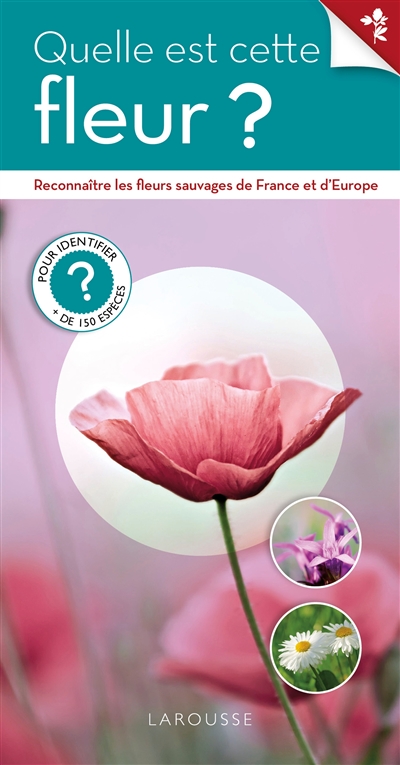 Quelle est cette fleur sauvage ? - 