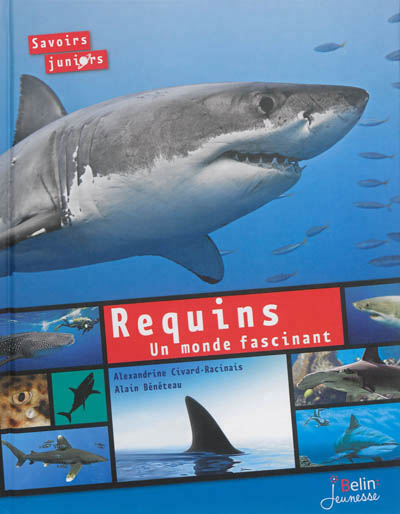 Requins, un monde fascinant - 