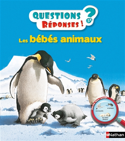 bébés animaux (Les) - 