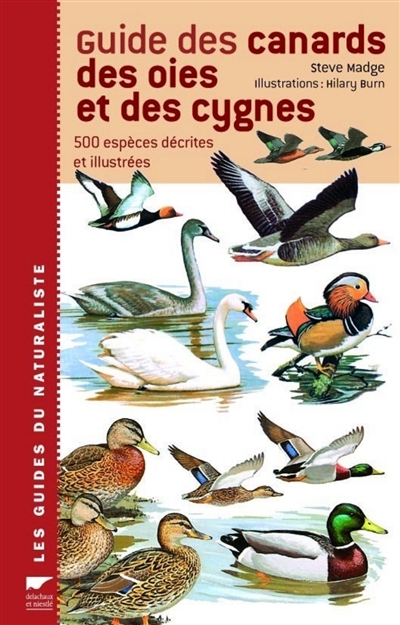 Guide des canards, des oies et des cygnes - 