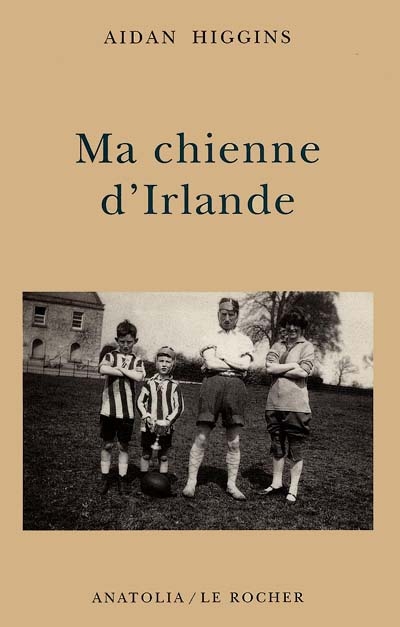 Ma chienne d'Irlande - 