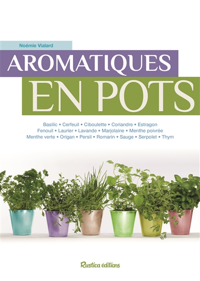 Aromatiques en pots - 