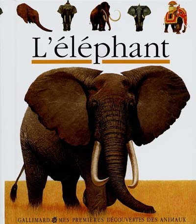 Eléphant (L') - 