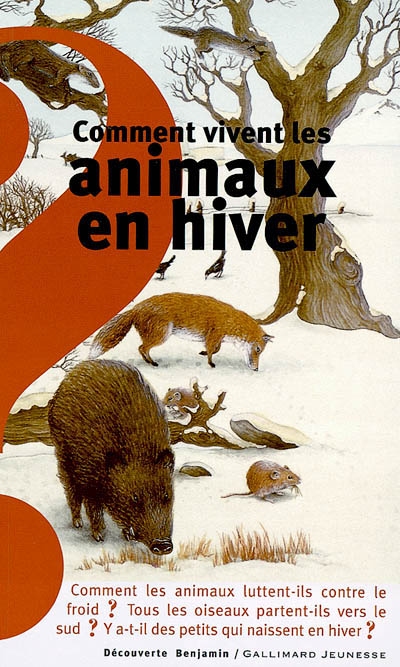 Comment vivent les animaux en hiver ? - 