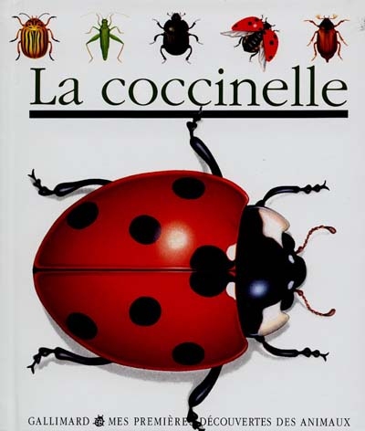 Coccinelle (La) - 