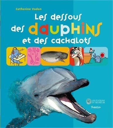 dessous des dauphins et des cachalots (Les ) - 