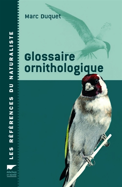 Glossaire d'ornithologique - 