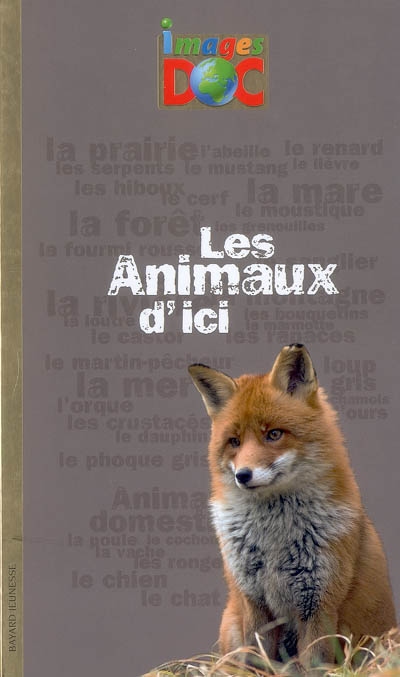 animaux d'ici (Les ) - 