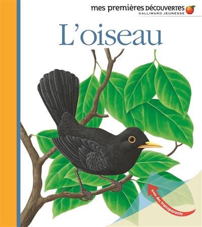 oiseau (L') - 