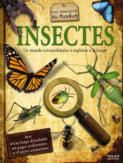 Insectes - 