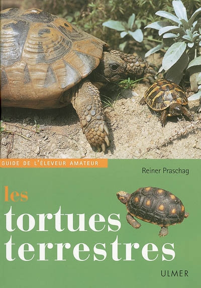 tortues terrestres (Les ) - 