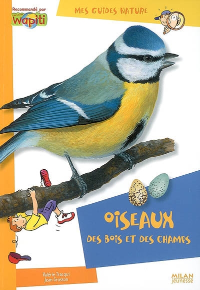 Oiseaux des bois et des champs - 