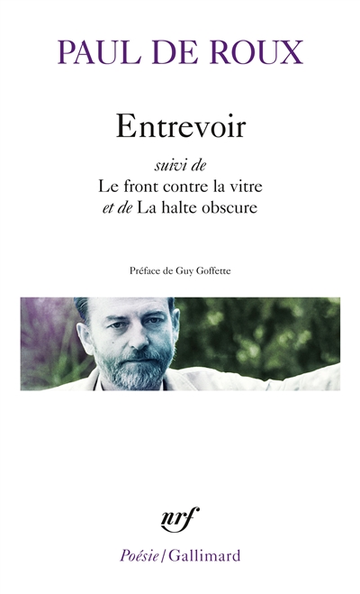 Entrevoir - suivi de Le front contre la vitre - suivi de La halte obscure …