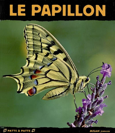 papillon (Le) - 