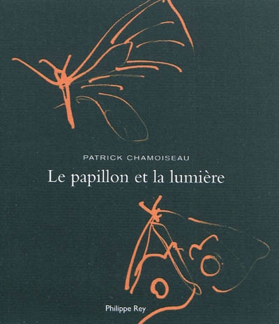 Papillon et la lumière (Le) - 