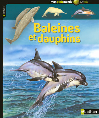 Baleines et dauphins - 