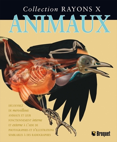 Animaux - 