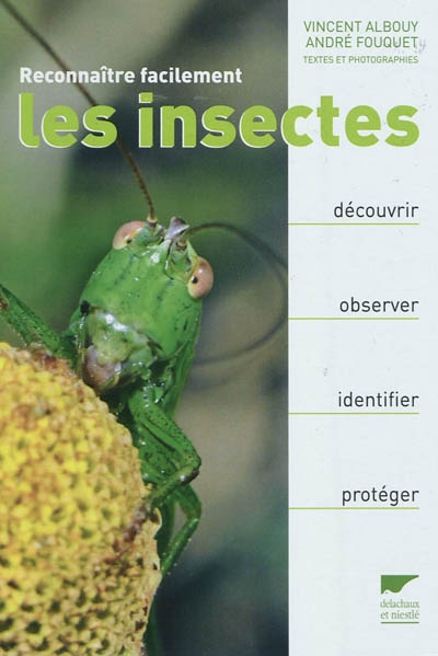 Reconnaître facilement les insectes - 