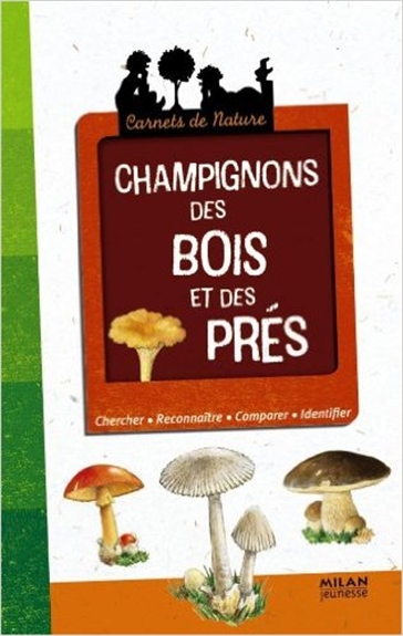 Champignons des bois et des prés - 