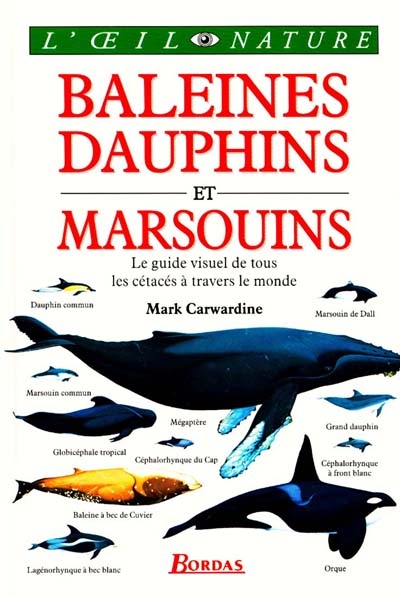 Baleines dauphins et marsouins - 