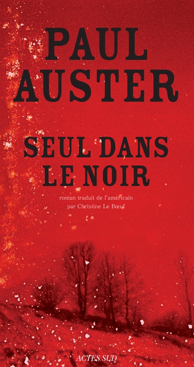 Seul dans le noir - 