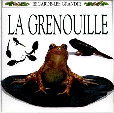 grenouille (La) - 