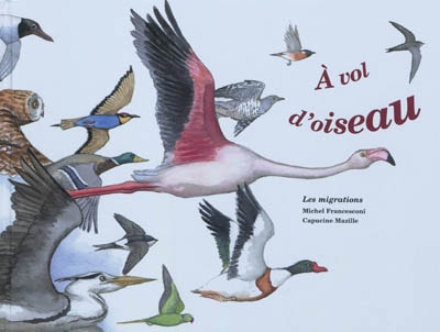 A vol d'oiseau - 