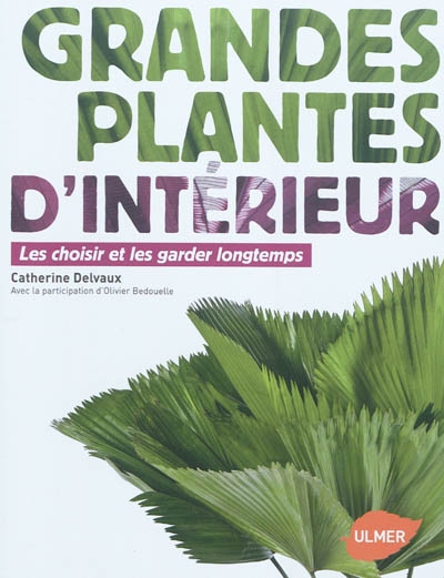 Grandes plantes d'intérieur - 