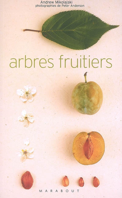 Arbres fruitiers - 