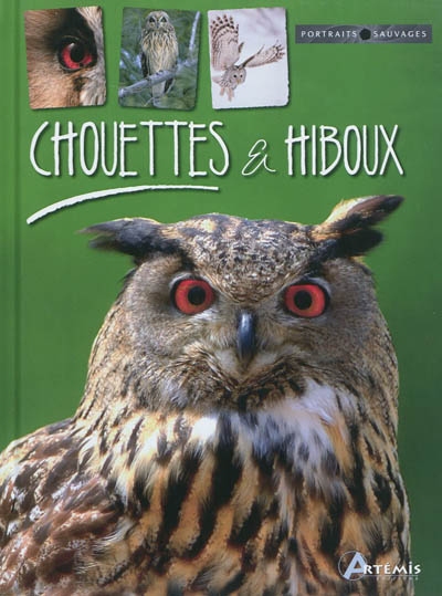 Chouettes & hiboux - 