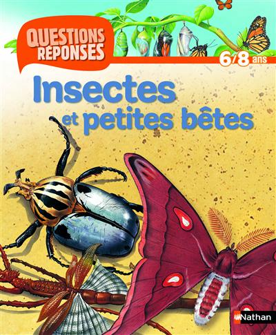 Insectes et petites bêtes - 