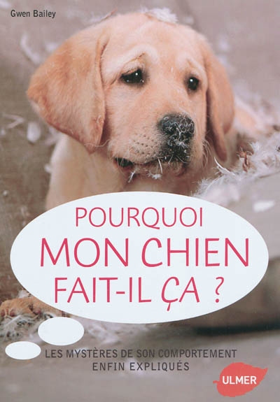 Pourquoi mon chien fait-il ça ? - 