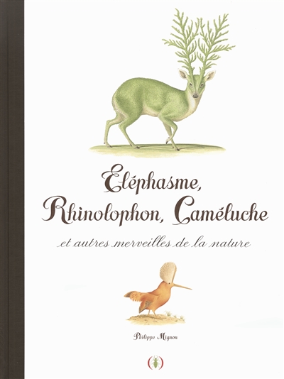 Eléphasme, rhinolophon, caméluche et autres merveilles de la nature - 